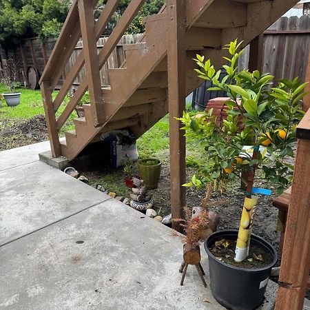 Appartamento Bumblebee House Oakland Esterno foto